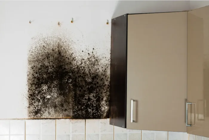 Choice Fire Damage Restoration Phoenix Picture 6