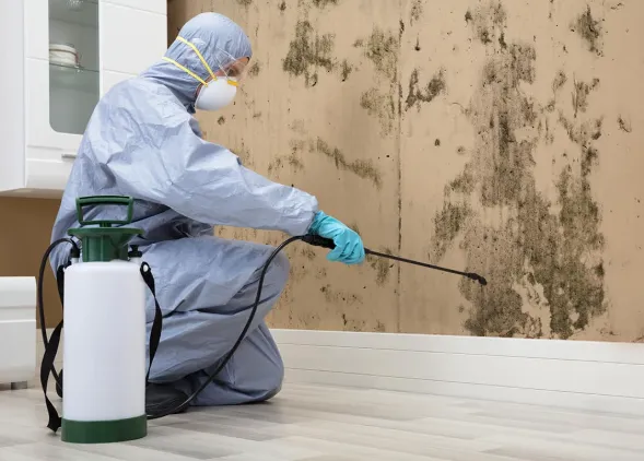 Choice Fire Damage Restoration Phoenix Picture 5