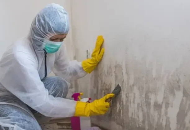 Choice Fire Damage Restoration Phoenix Picture 3