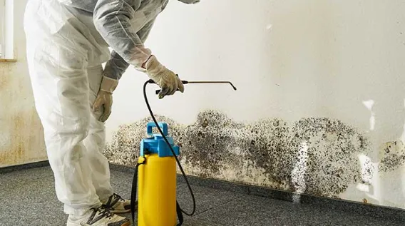 Choice Fire Damage Restoration Phoenix Picture 4