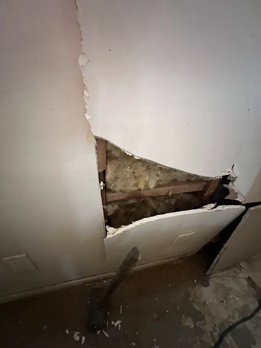 Pristine Restoration LLC Picture 3