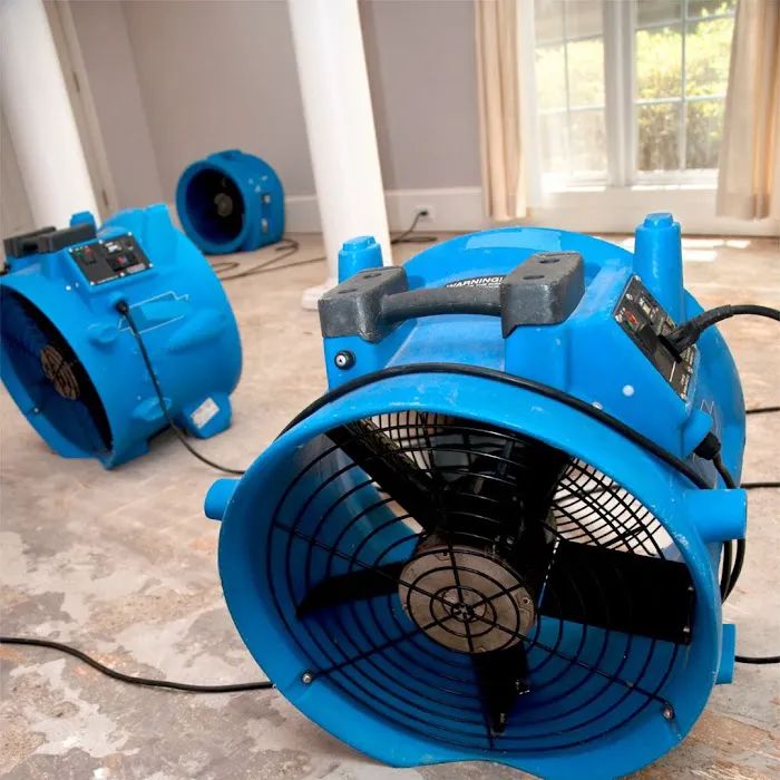 Zane's Restoration Picture 4