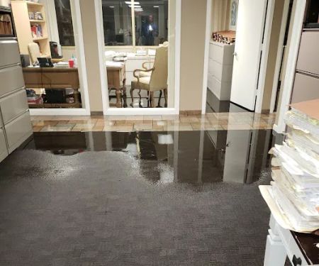 1-800 Water Damage of Phoenix