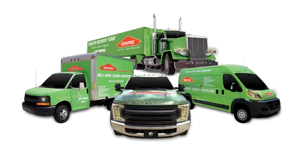 SERVPRO of East Glendale Picture 8