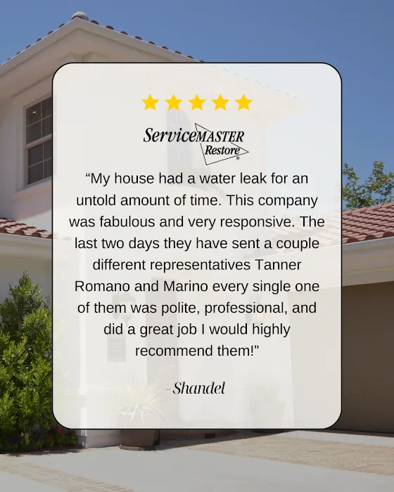 ServiceMaster All Care Restoration - Phoenix Picture 9