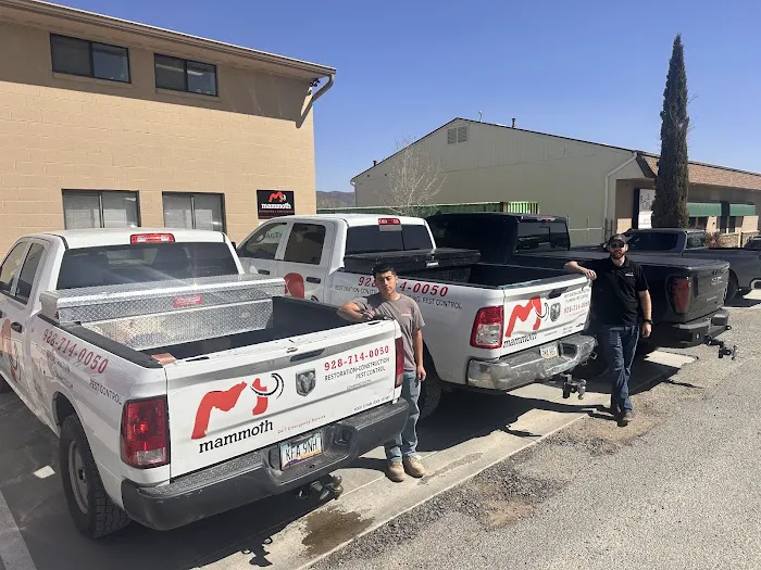 Mammoth Restoration | Scottsdale Picture 3