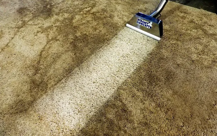 Steamy Concepts Picture 9