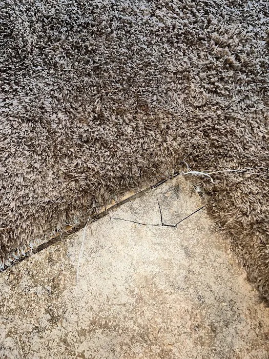 Steamy Concepts Picture 2