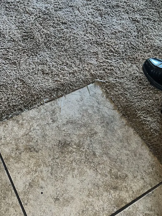 Steamy Concepts Picture 3