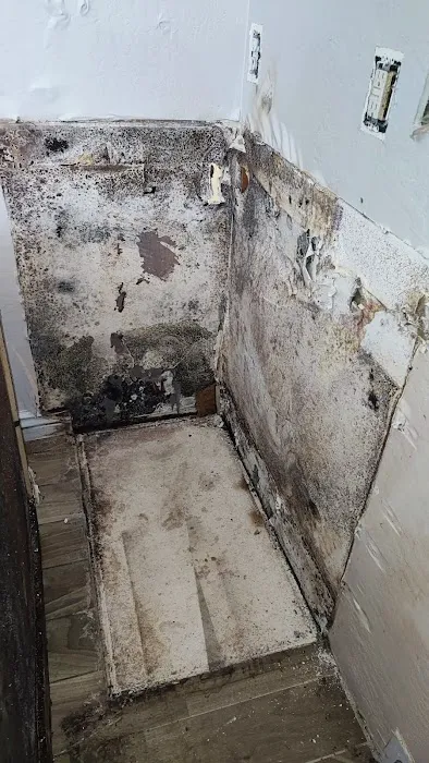 CA RESTORATION LLC Picture 2