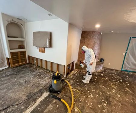 DRYmedic Restoration Services of Central Phoenix