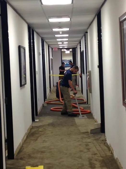 EzFix WD Restoration Mesa Picture 1