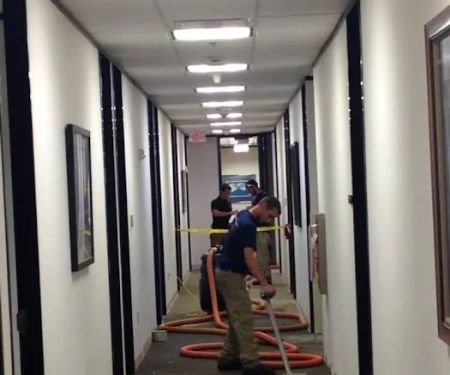 EzFix WD Restoration Mesa