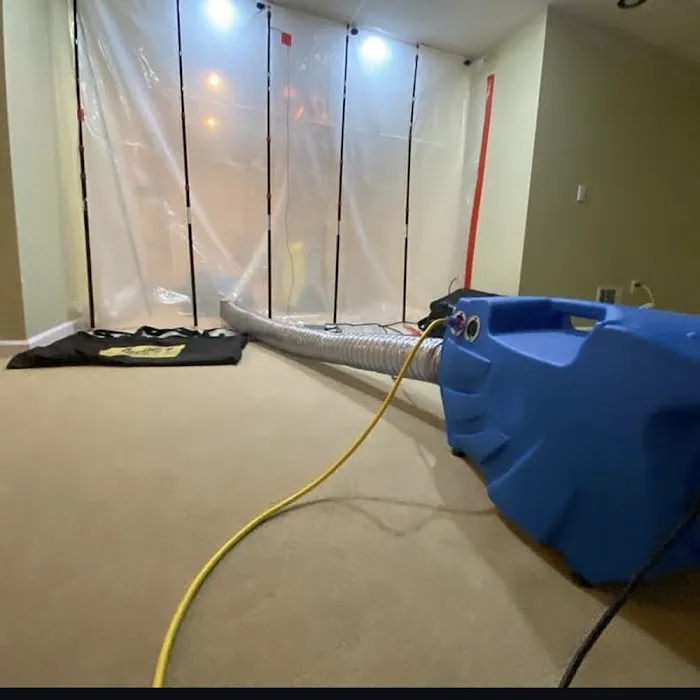 EzFix WD Restoration Mesa Picture 9