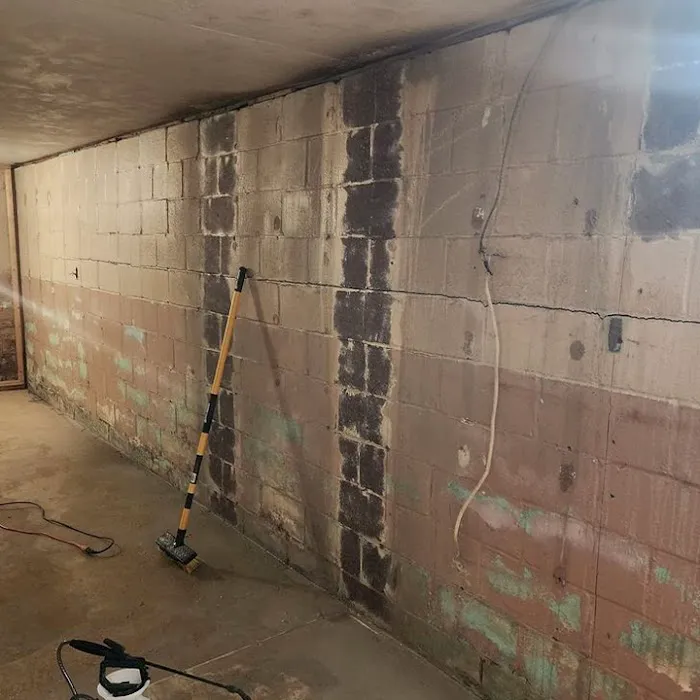 EzFix WD Restoration Mesa Picture 4