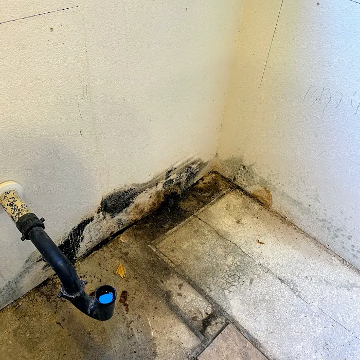 Water Fighters Restoration Picture 9