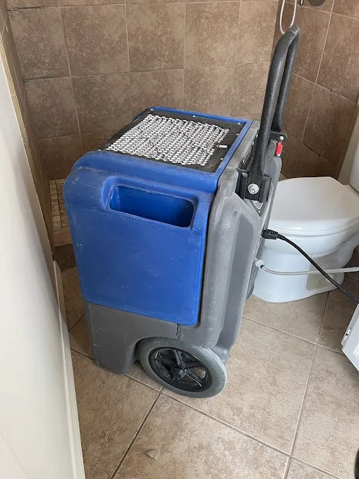 Jenkins Restorations Picture 3