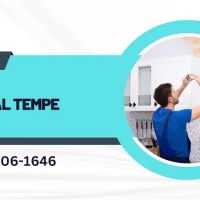 Mold Remediation Service Tempe ico