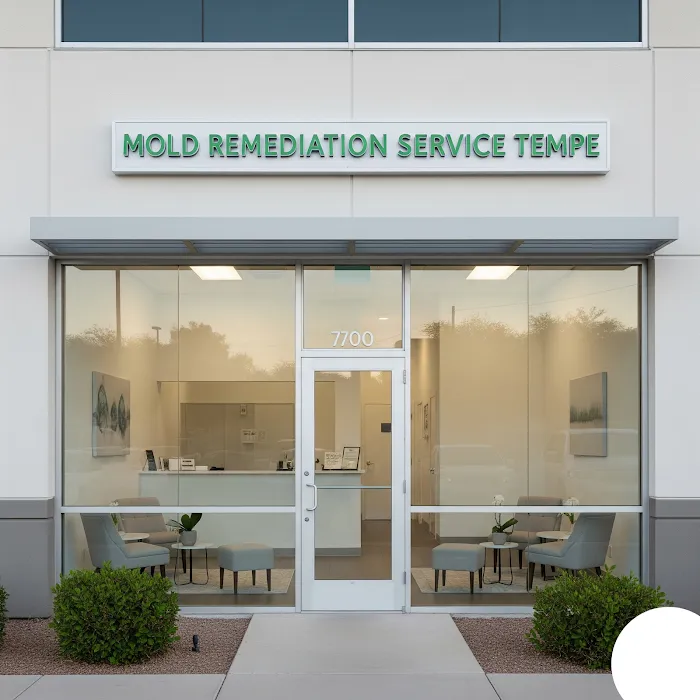 Mold Remediation Service Tempe Picture 5