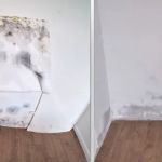 BlackDiamond Mold Removal & Remediation Scottsdale AZ