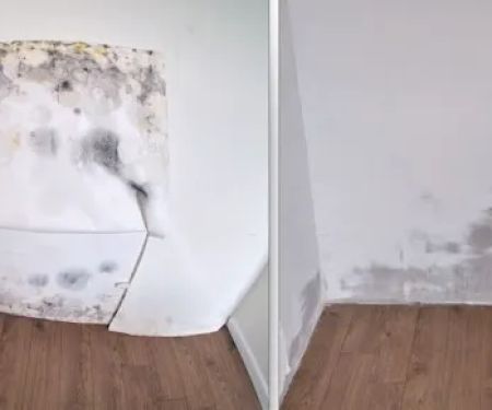 BlackDiamond Mold Removal & Remediation Scottsdale AZ