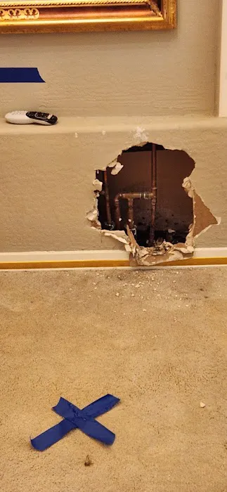 Reliant Restoration Picture 5