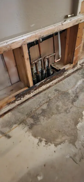 Reliant Restoration Picture 8