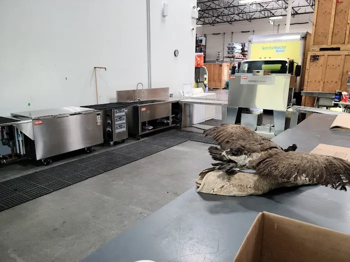 ServiceMaster Restoration by Desert Dry Picture 1