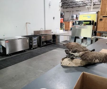 ServiceMaster Restoration by Desert Dry