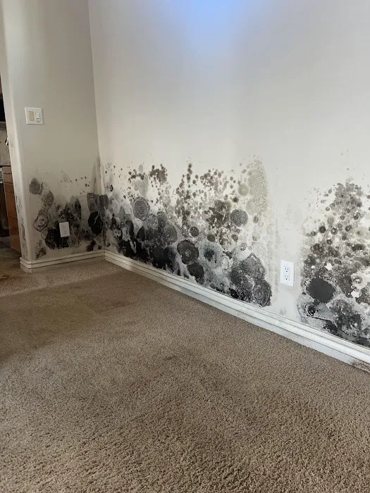 United Response Restoration Picture 9