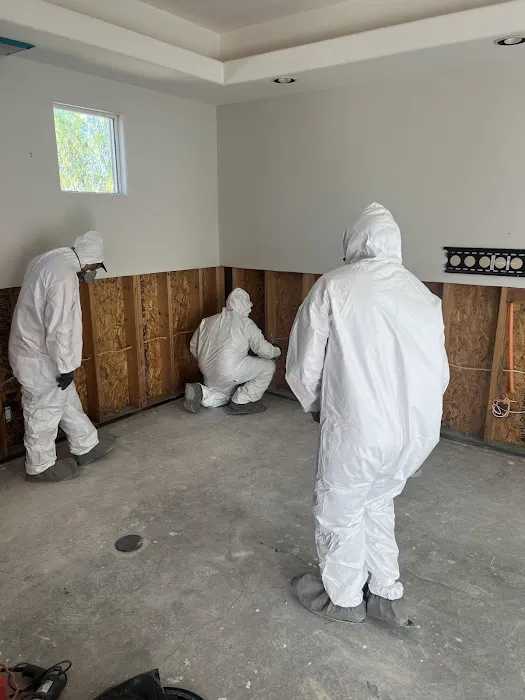 United Response Restoration Picture 6