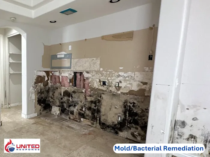 United Response Restoration Picture 10