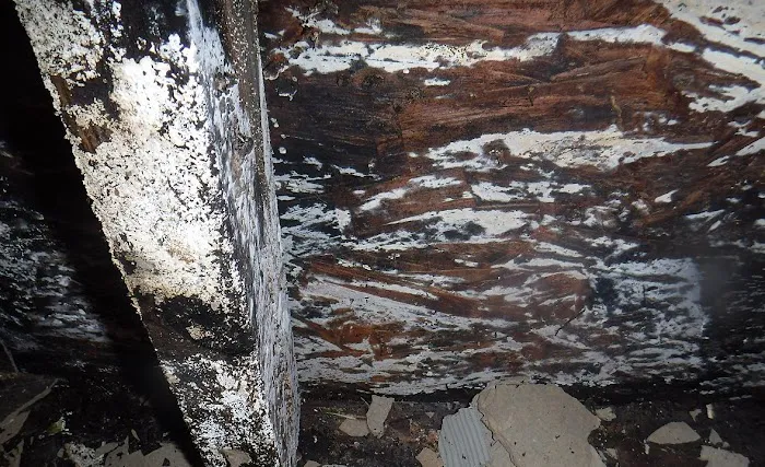 AZ Water Damage Restoration Service, Fire, Mold, Flood Picture 8