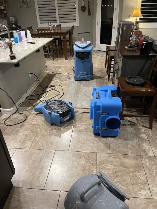 Disaster Plus Restoration & General Contracting Picture 3