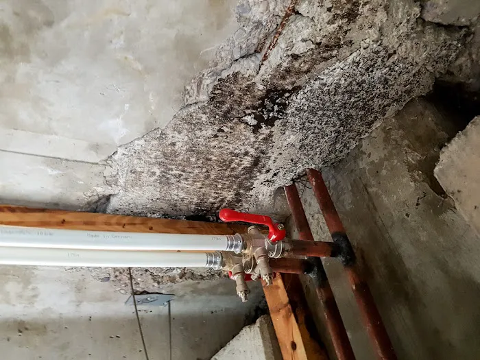 Water Fighters Restoration Picture 2