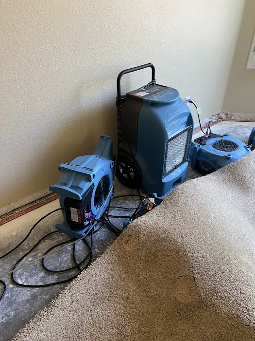 Renewal Restoration Picture 8