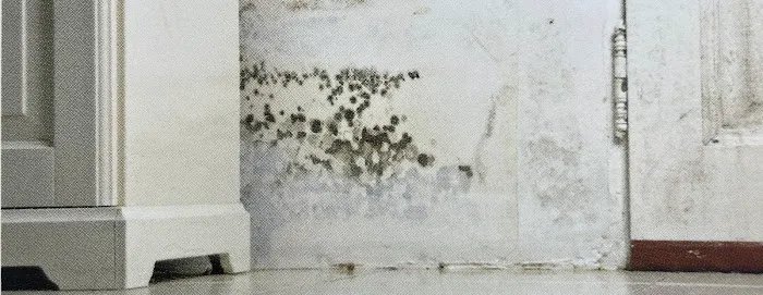 Rainbow Restoration of Goodyear Picture 8