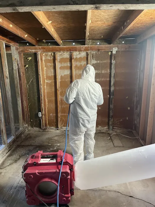 PuroClean of Chandler Picture 3