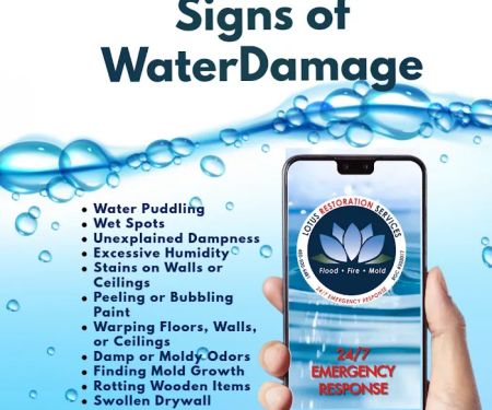 Lotus Restoration Services