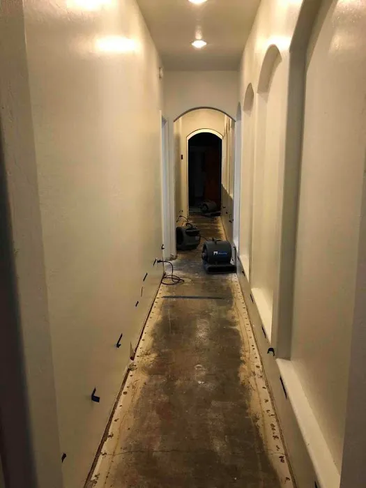 Lotus Restoration Services Picture 4