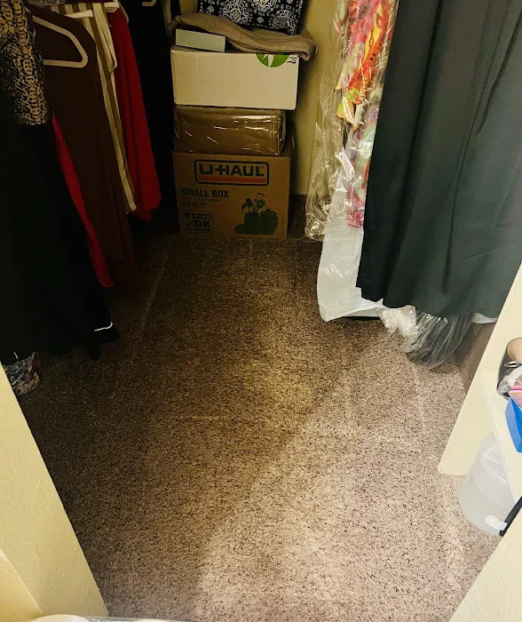 Steam Master Cleaning Phoenix Picture 2