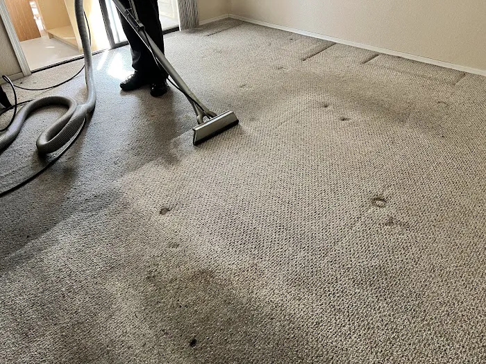 Stanley Steemer Picture 5