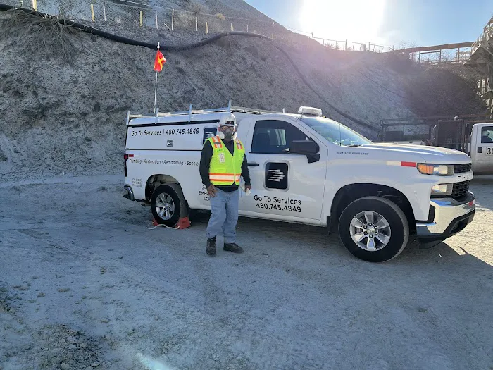 Go To Services, Inc. Picture 3