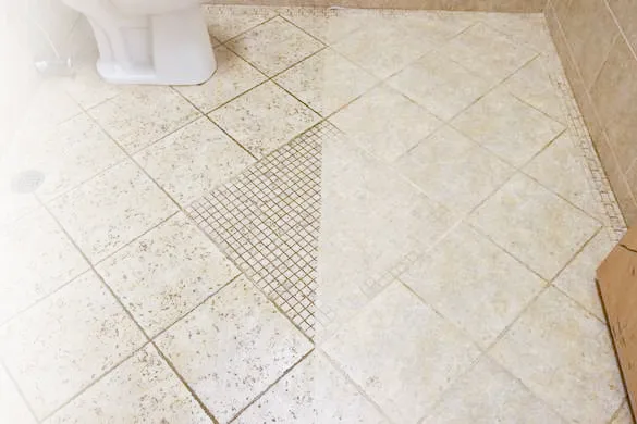 Kiwi Services Picture 2