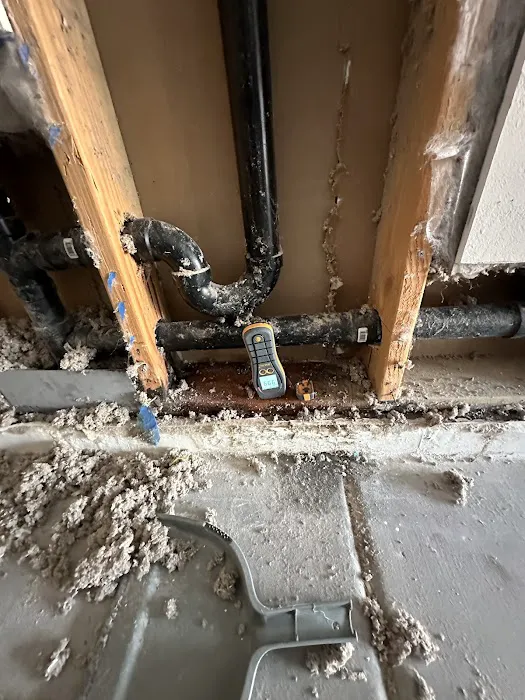 Premier Restorations Picture 8