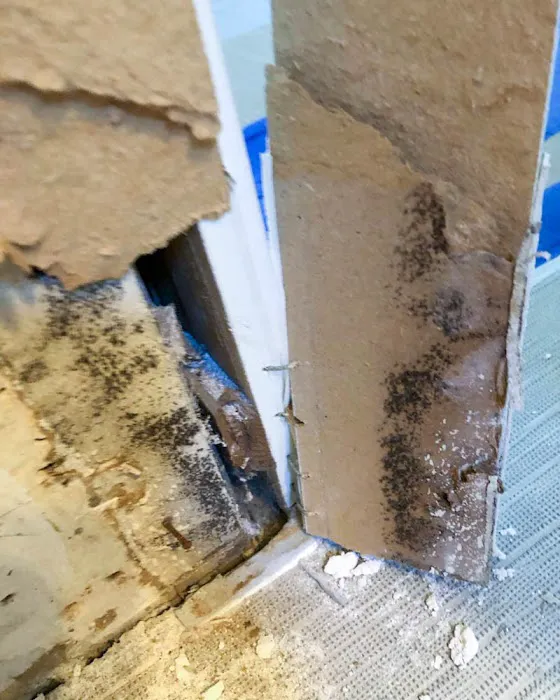 SERVPRO of North Chandler Picture 7