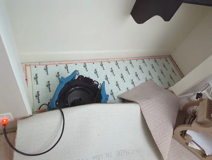 EcoDry Restoration Picture 9