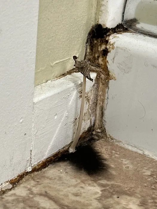 ASAP Restoration LLC Picture 4