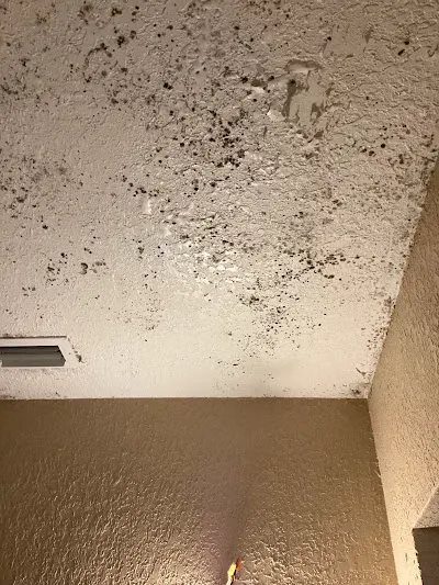 MacDonald Water Damage Restoration Mesa AZ Picture 1
