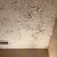 MacDonald Water Damage Restoration Mesa AZ ico